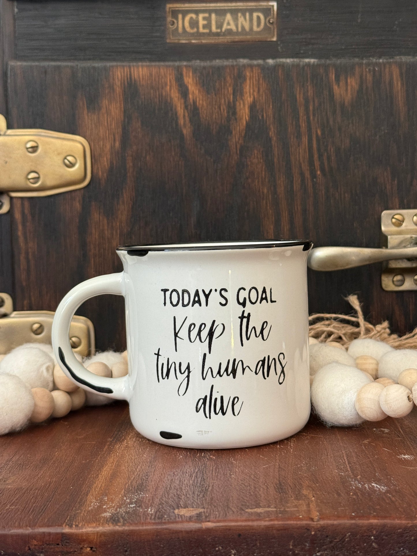 Todays Goal | Keep Tiny Human Alive | Mom of Toddlers | Mom Life | RTS